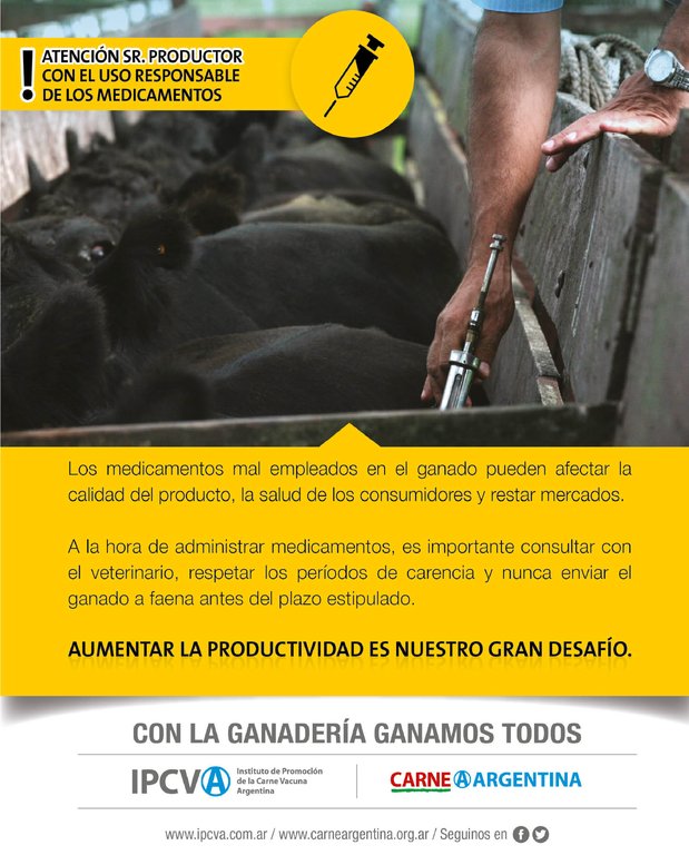 REVISTA NUESTRO AGRO JULIO 2026 N° 392 - página 31