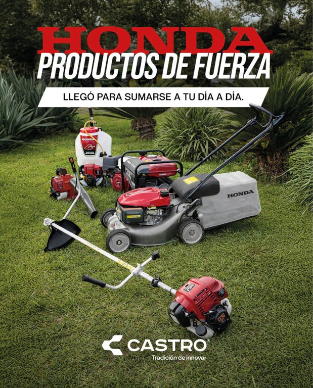 REVISTA NUESTRO AGRO AGOSTO 2026 N° 393 - página 32