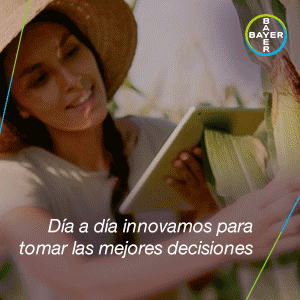 Bayer