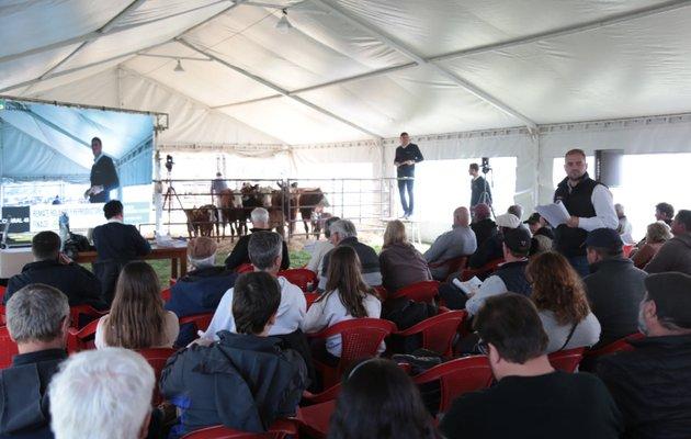 FINACO cerró con un gran Remate Holando y fuerte presencia productiva