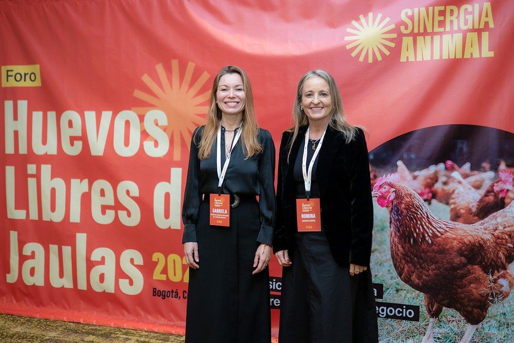 Huevos libres de jaulas: impulsan una transformación en la industria alimentaria mundial