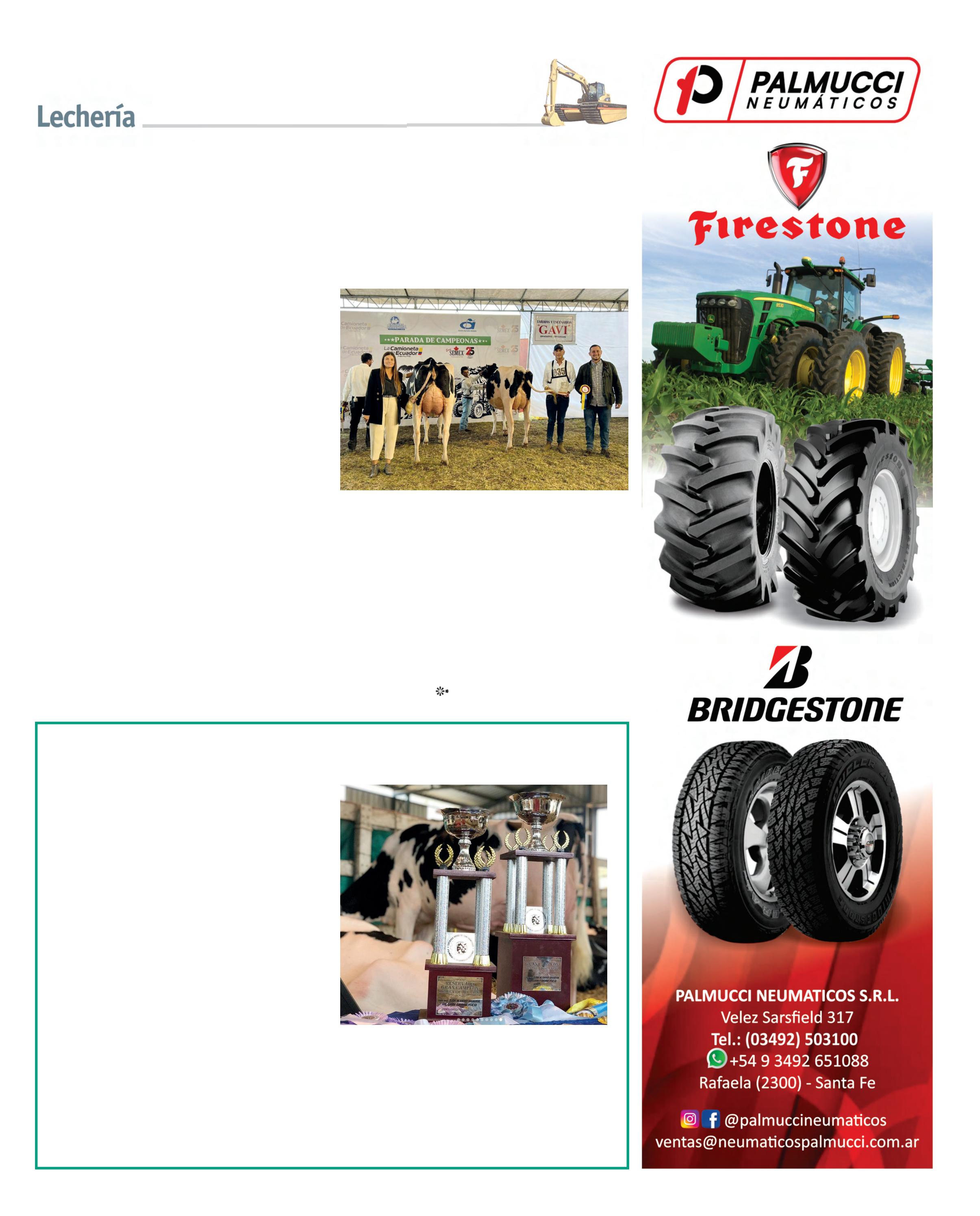 REVISTA NUESTRO FEBRERO 2026 N° 387 - página 13