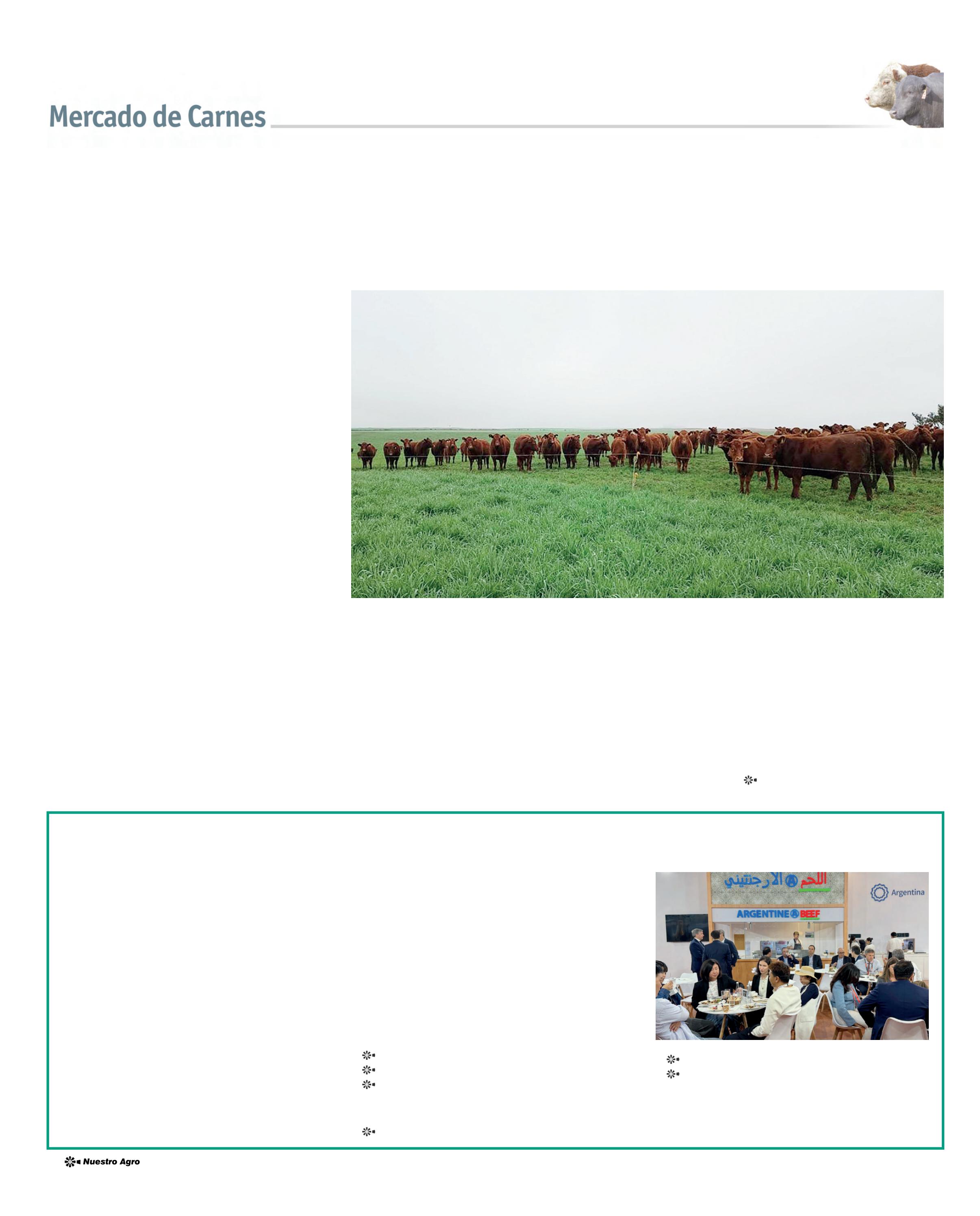 REVISTA NUESTRO FEBRERO 2026 N° 387 - página 16