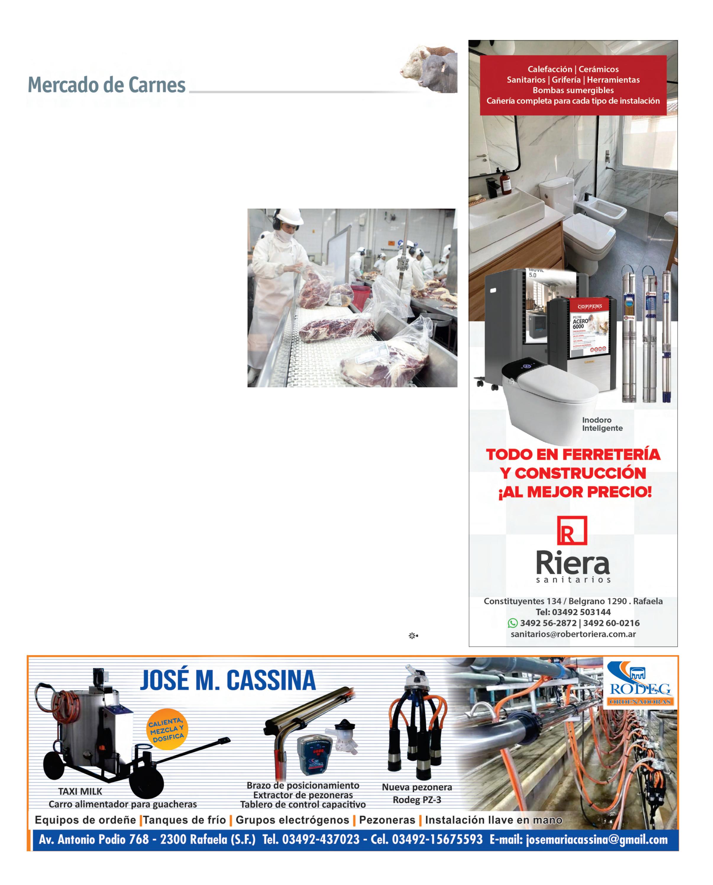 REVISTA NUESTRO FEBRERO 2026 N° 387 - página 17