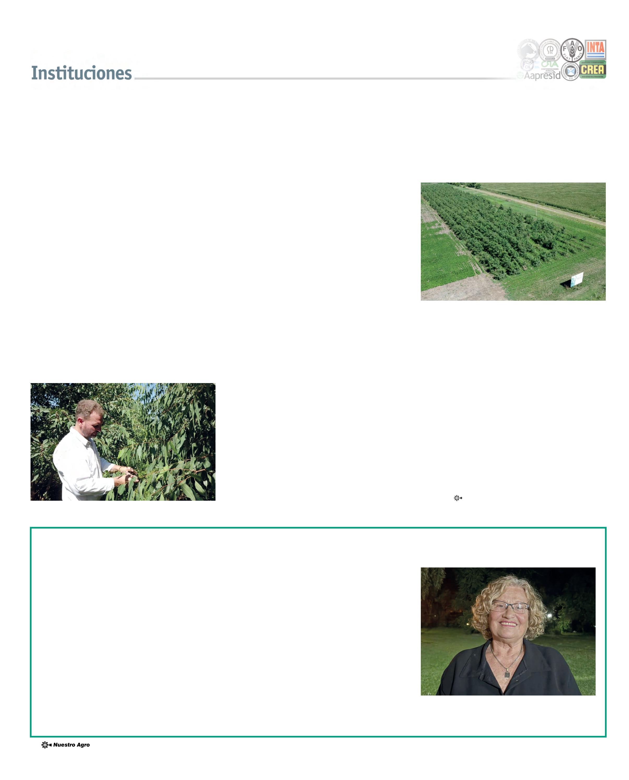 REVISTA NUESTRO FEBRERO 2026 N° 387 - página 22