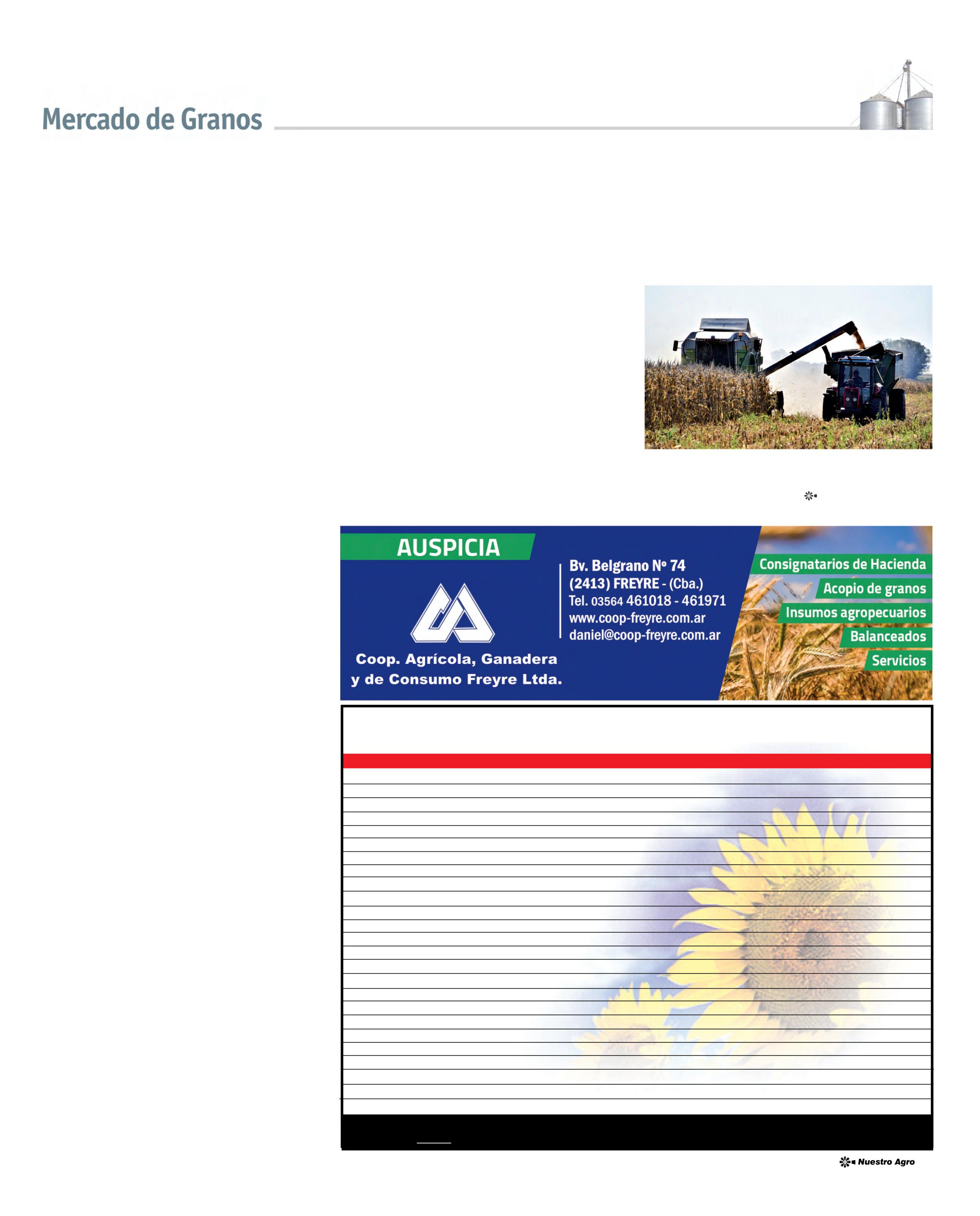 REVISTA NUESTRO MARZO 2026 N° 388 - página 21