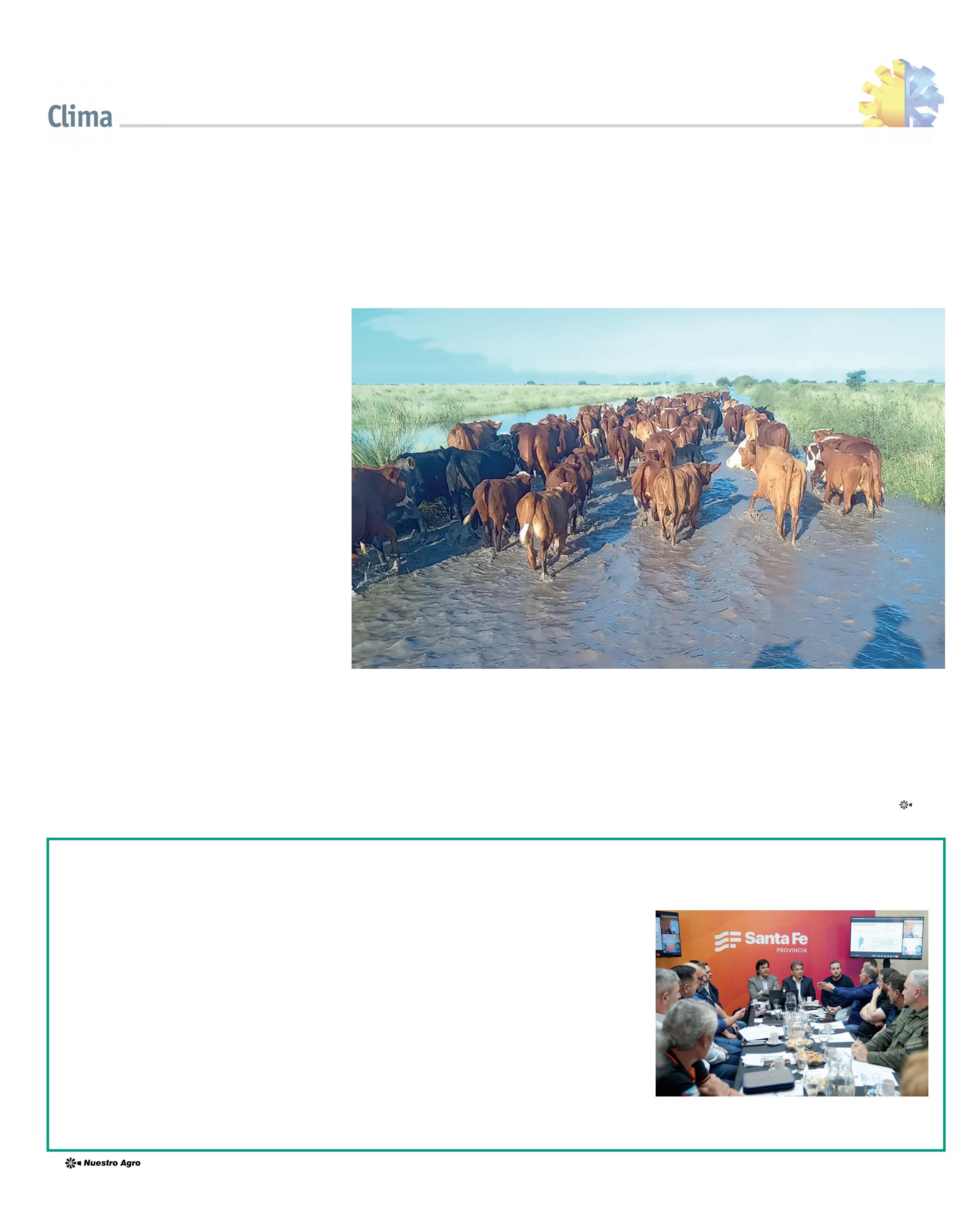 REVISTA NUESTRO MAYO 2026 N° 390 - página 12