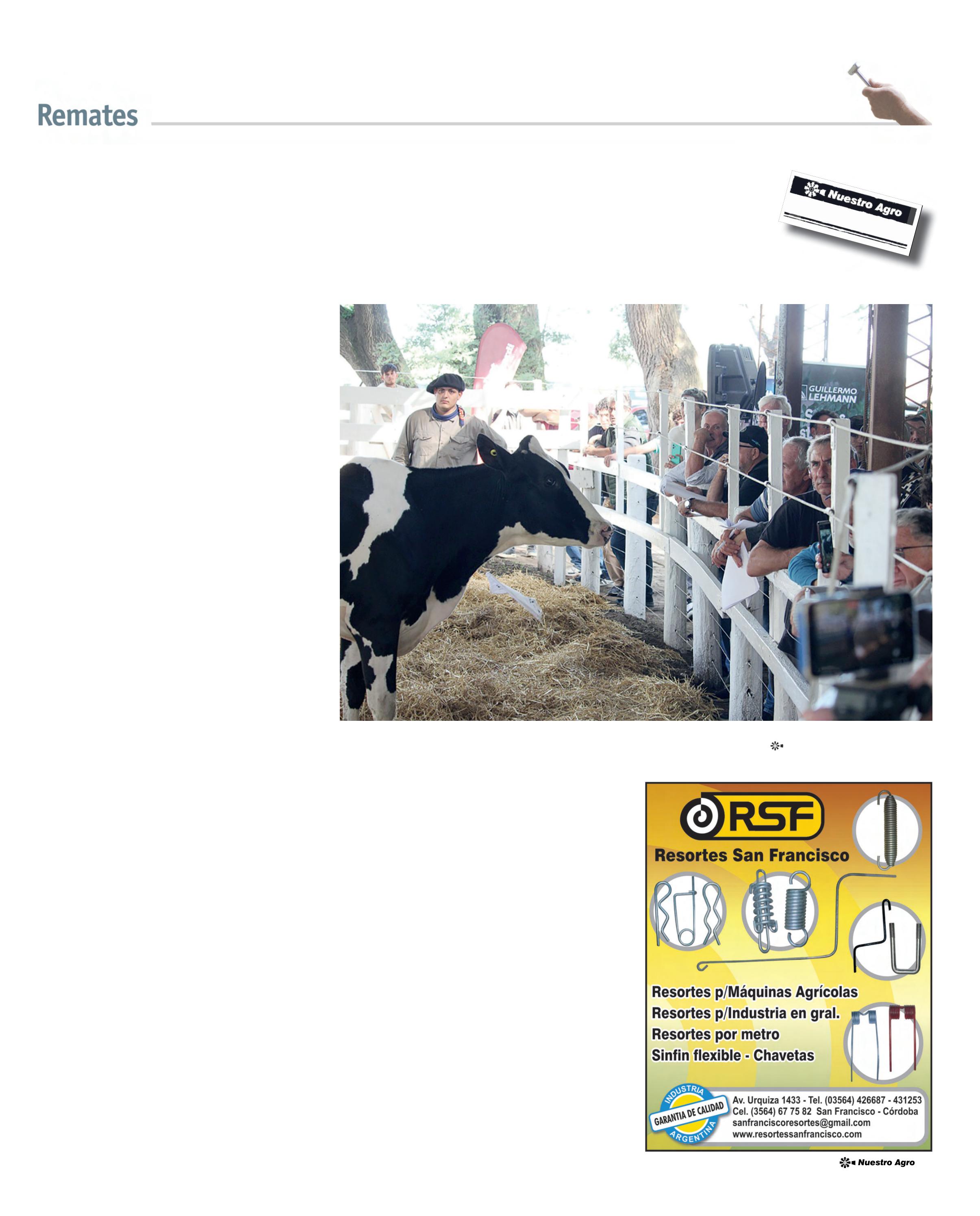 REVISTA NUESTRO MAYO 2026 N° 390 - página 25