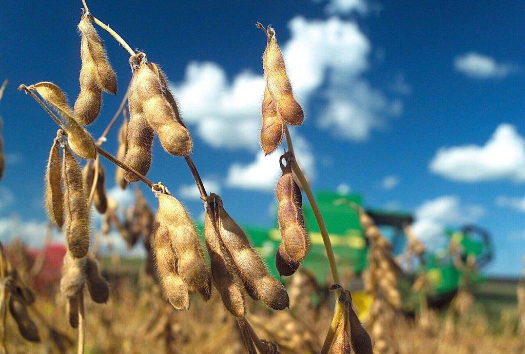 Campaña 2026/27: Proyectan récords de producción agrícola, pero los costos de combustible y fletes presionan la rentabilidad