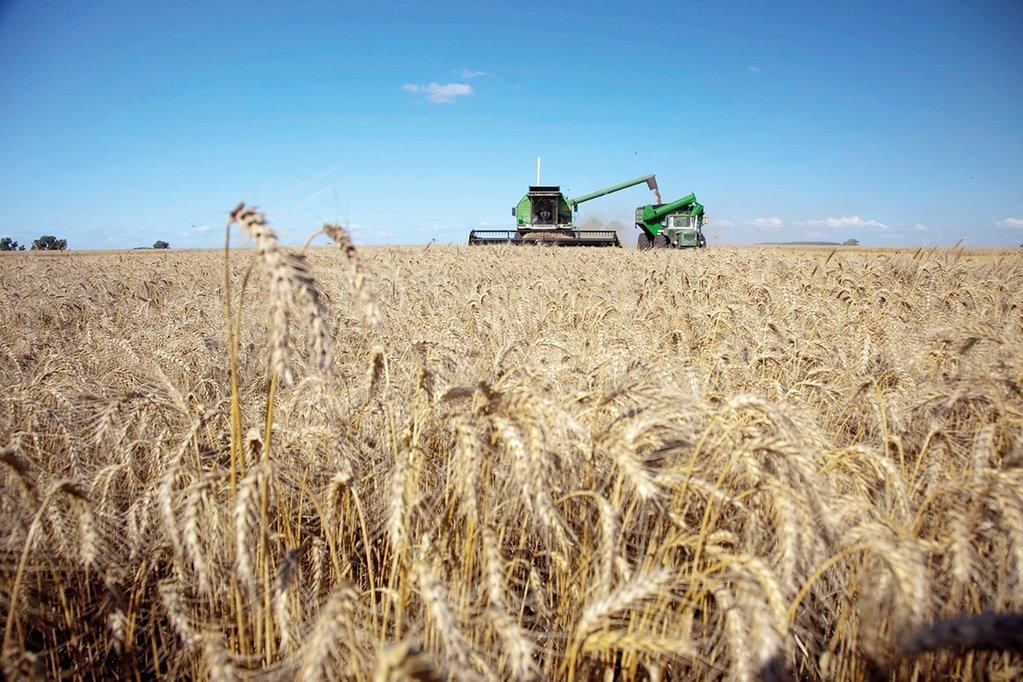 Las cadenas agroindustriales aportaron casi US$ 32.000 millones de divisas en lo que va del año