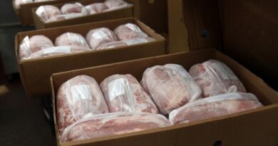 La carne porcina argentina desembarca en Emiratos Árabes