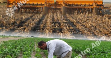 Hoy 8 de septiembre se celebra “el Día Nacional del Agricultor”