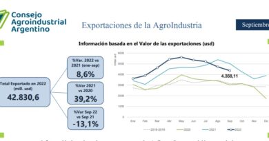 El sector agroindustrial exportó un 13,1% menos que en igual período del 2021
